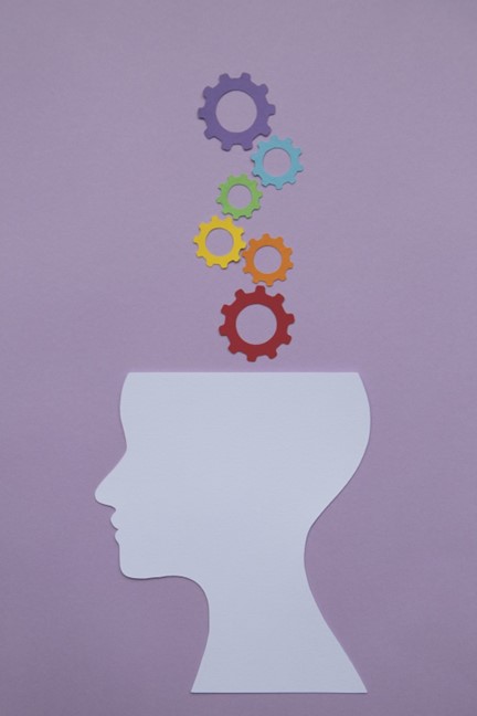 A drawing of an open head with multi-colored gears going into the brain